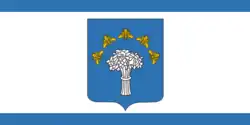 Flag of Chervyen