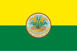 Flag of Ang Thong