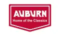 Flag of Auburn, Indiana