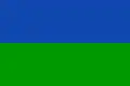 Flag of Bareyo