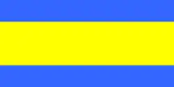 Flag of Byalynichy district