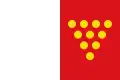 Flag of Cotanes del Monte