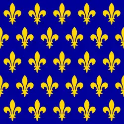 Flag of the Kingdom of France , — golden fleurs-de-lys on a royal blue field ,