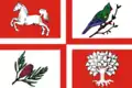 Flag of George