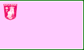 Flag of Kazanlak