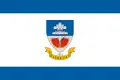 Flag of Kiskutas