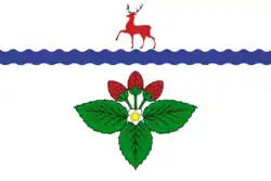 Flag of Kstovo