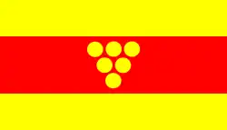 Flag of Negotino