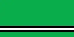 Flag of Asipovichy