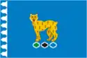 Flag of Rezhevsky District