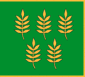 Skaistgirys