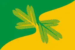 Flag of Tayozhny