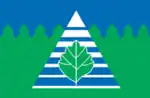 Flag of Troitsk