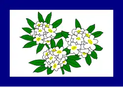 Flag of West Virginia, (1905 – 1907)