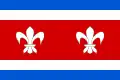 Flag of Zdice