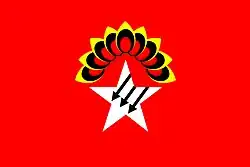 Flag of the Anti-fascist Internationalist Front (AIF) in Myanmar
