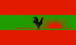 Flag of