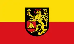 Flag of Frankenthal (Pfalz)