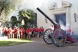 Fleming cannon