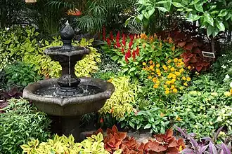A flower display.