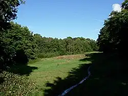 A large, grassed open space, with trees