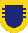 3/504th PIR Beret Flash