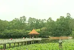 The Free Life Pond.