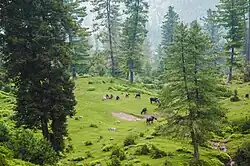 Ganga Choti, Bagh
