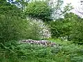 Garlies Castle.