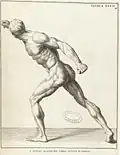 Borghese Gladiator