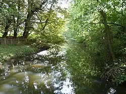 Coston Fen