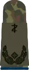 Oberstabs­arzt (dent. medicine)
