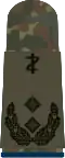 Oberfeld­arzt (dent. medicine)