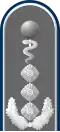 Oberstveterinär (Army Senior Vet, service uniform epaulette)