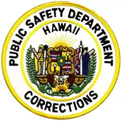 Patch of the Correction Division