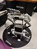 Unitree Go1 and B1