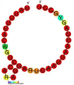 HOTAIR_1: Secondary structure taken from the Rfam database. Family RF01904
