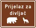 Wildlife crossing