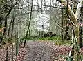 Harpsden Wood