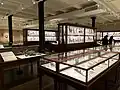 Glass flowers room in 2023