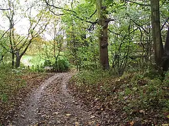 Clayton Brook (footpath)