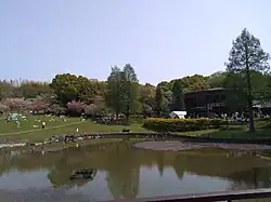 Odai Park