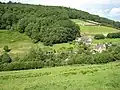 Highbury Wood National Nature Reserve (NNR)