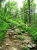 Part of the track