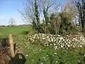 The now dry Holy Well adjacent to the site
