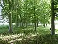 How Hill Track