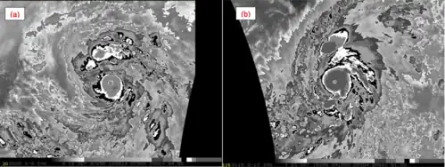 A comparison of Dvorak-enhanced infrared satellite signatures of Hurricanes Patricia and Linda (1997) at their peak intensity. A "cold dark gray" ring surrounding Patricia's eye represents cloud tops of −81 °C (−114 °F) or colder, more intense than the "cold medium gray" ring surrounding Linda's eye.