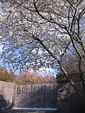 FDR Memorial in Washington D.C.