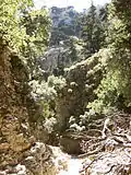 On the trail