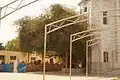 Historic Jand tree